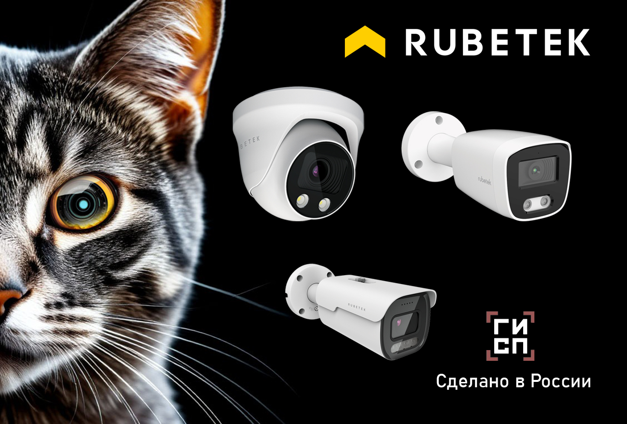 Запись вебинара "Искусственный интеллект в камерах видеонаблюдения Rubetek".